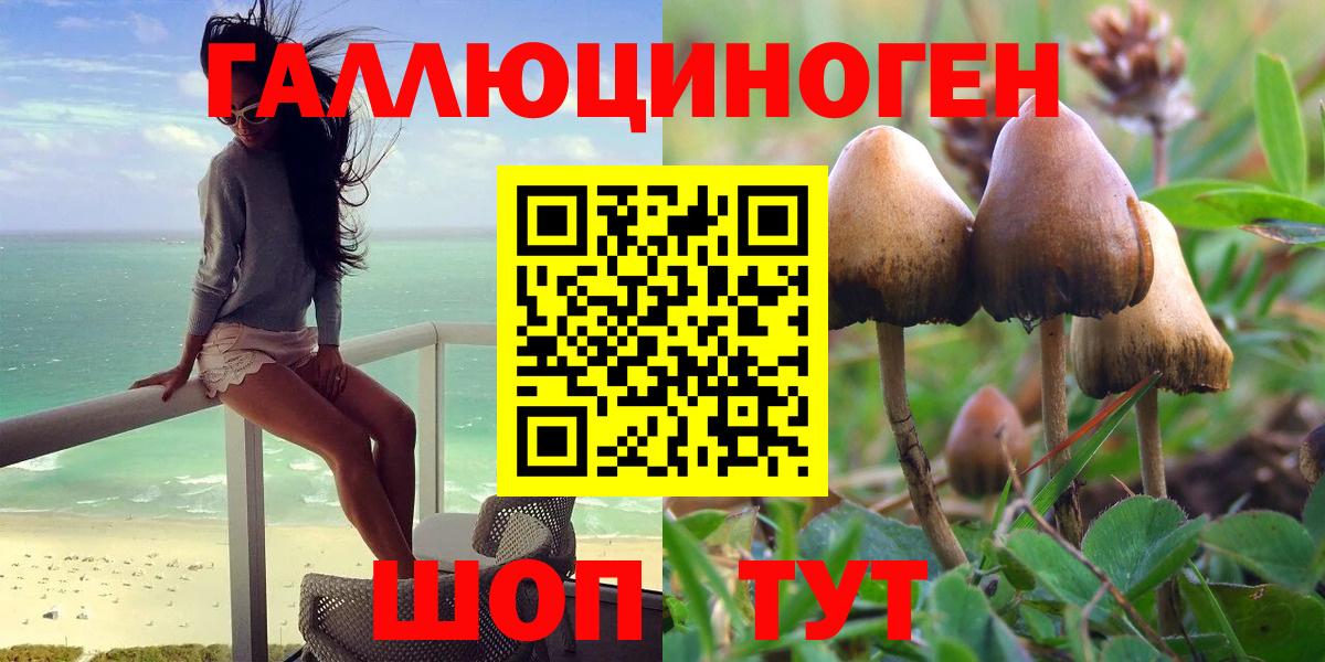 магазин продажи   Галлюциногенные грибы Cubensis  Вход с VPN  Псилоцибиновые грибы Psilocybine cubensis  Пермь 