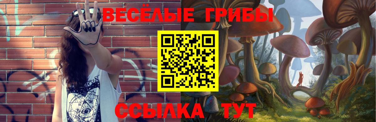 Галлюциногенные грибы мицелий Пермь